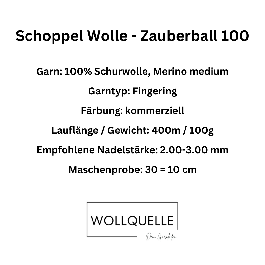Schoppel Wolle - Zauberball 100
