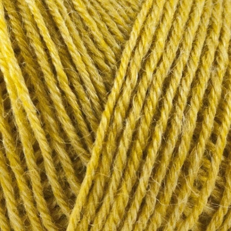Onion - Nettle Sock Yarn