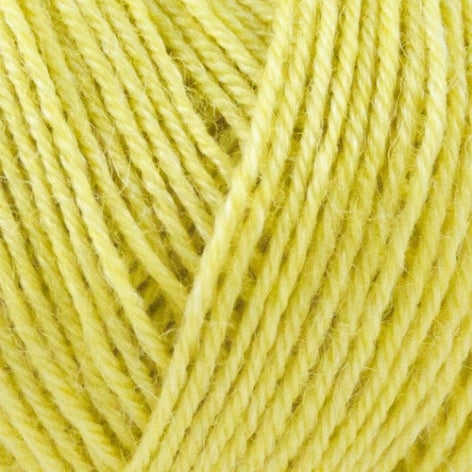 Onion - Nettle Sock Yarn