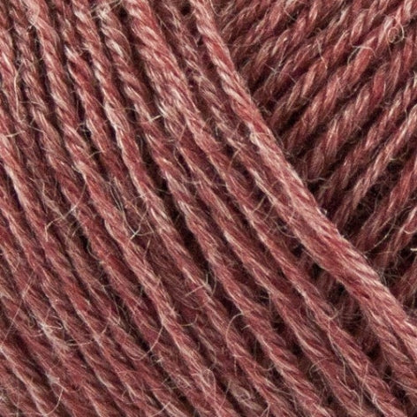 Onion - Nettle Sock Yarn