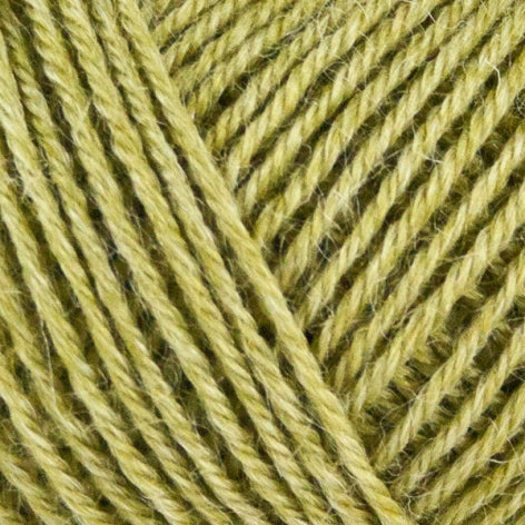 Onion - Nettle Sock Yarn
