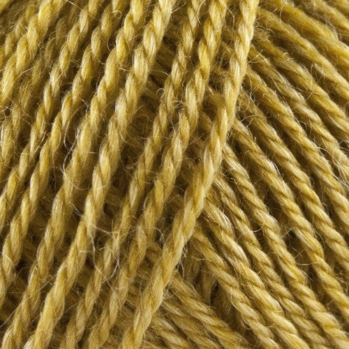 Onion - No.3 Organic Wool + Nettles