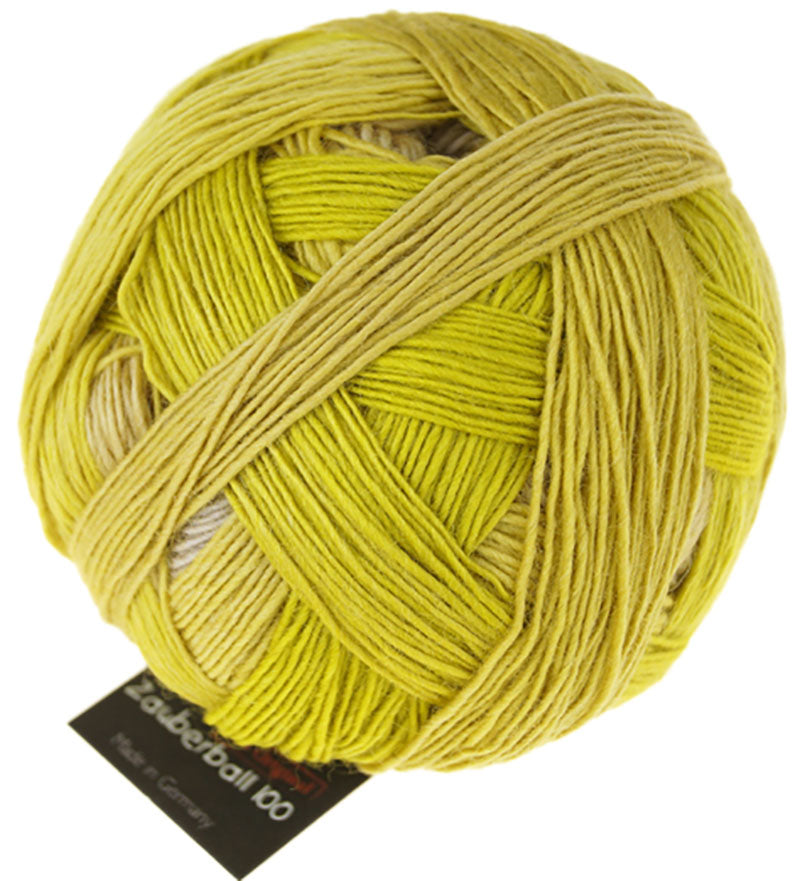 Schoppel Wolle - Zauberball 100