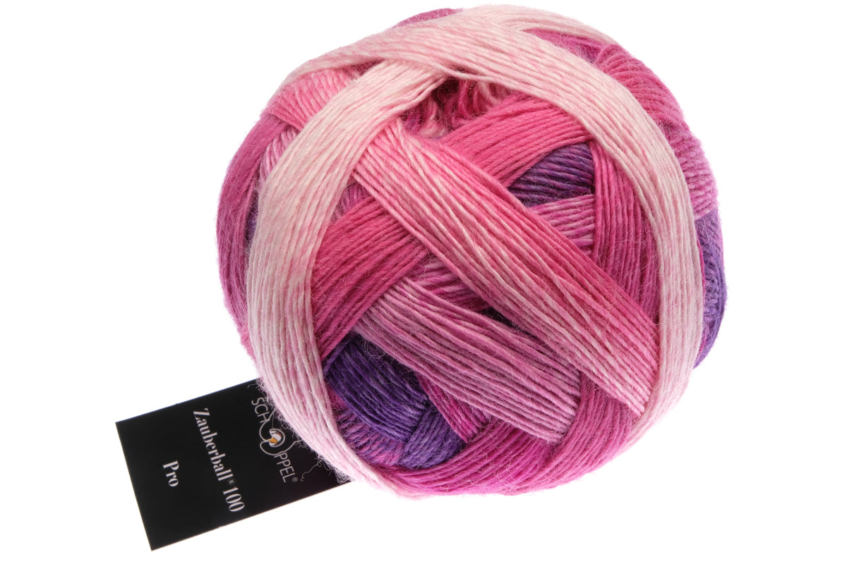 Schoppel Wolle - Zauberball 100